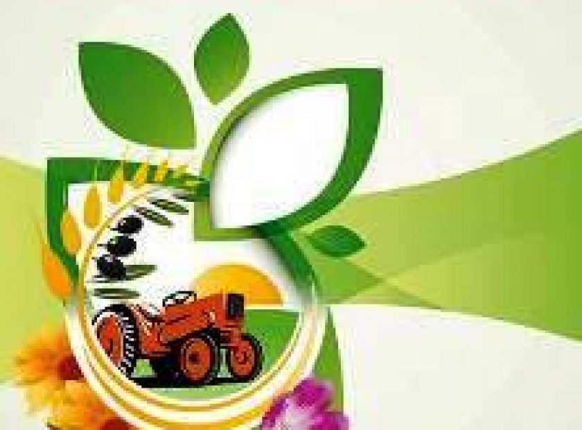 agro_cyprus_F890