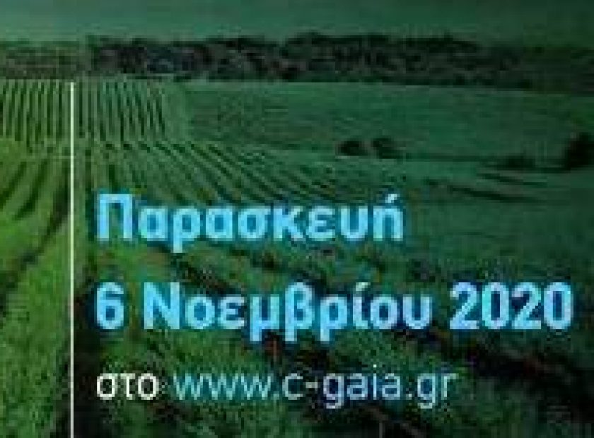 gaia-con_F21461