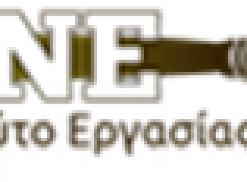 ine-gsee_F32623