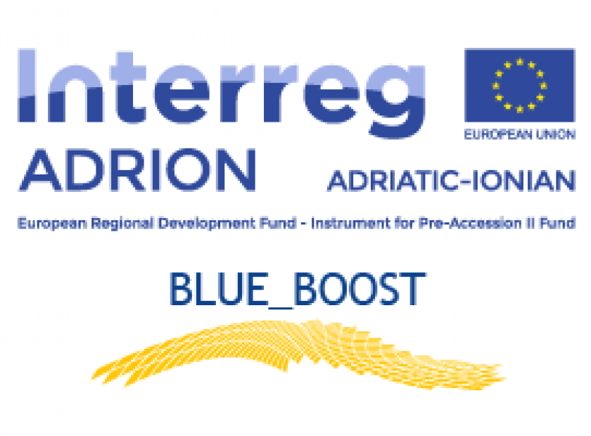 logo-blueboost-300px_F25115