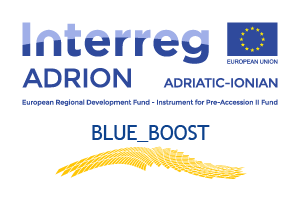 logo-blueboost-300px_F25115