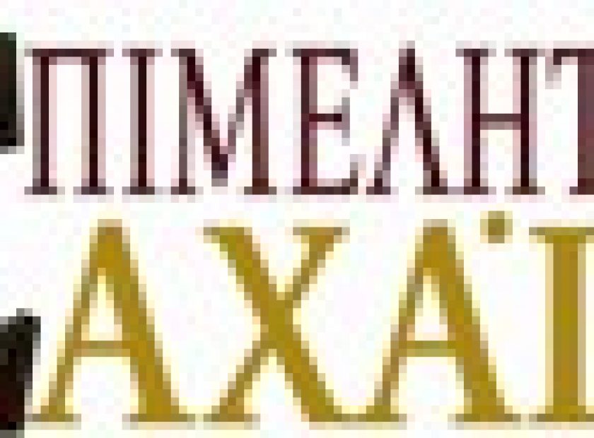 logo_F13933