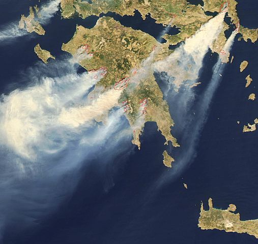 pyroplikta_F11830