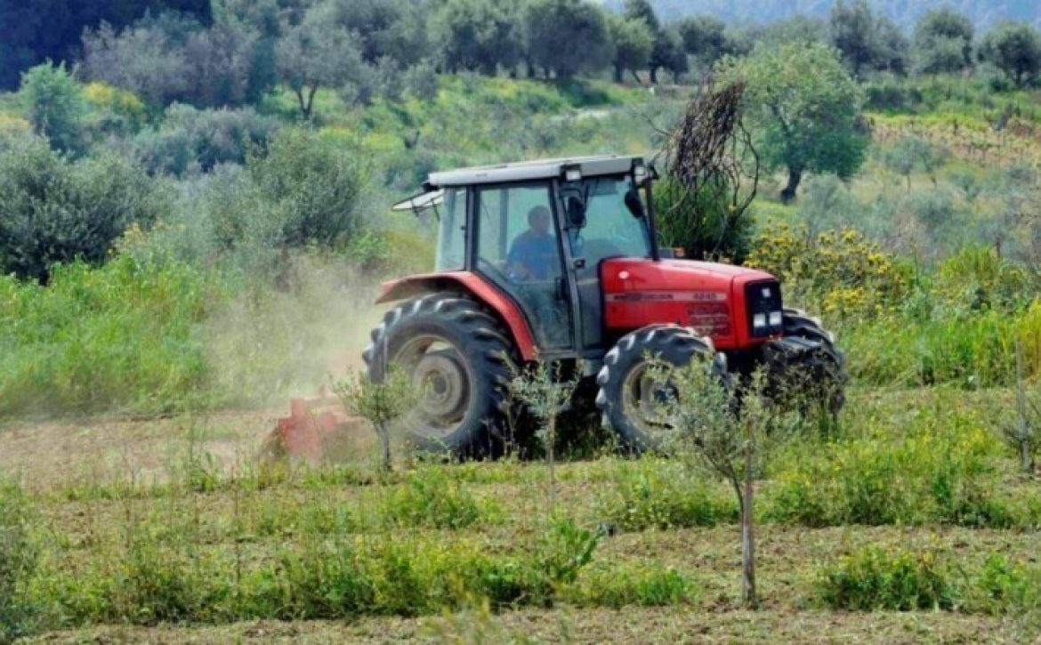 agrotes