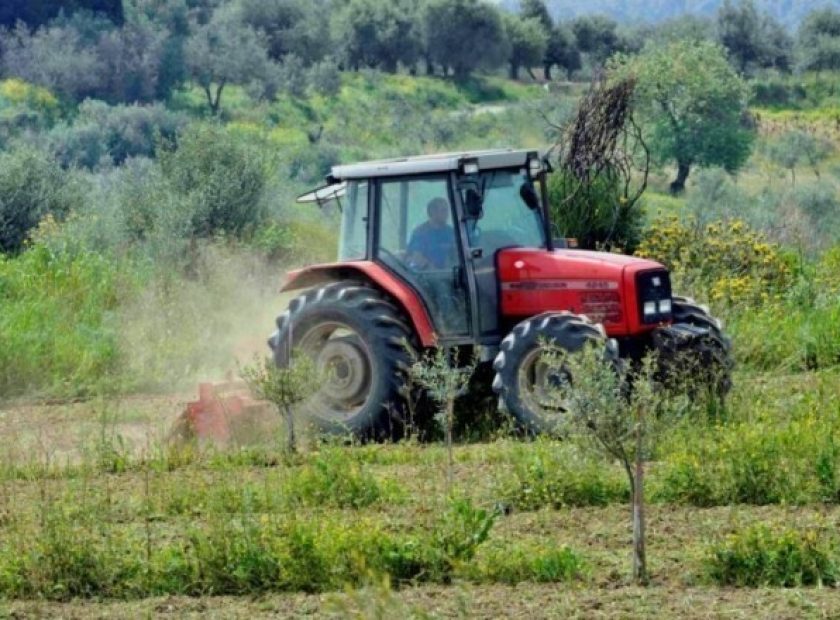 agrotes