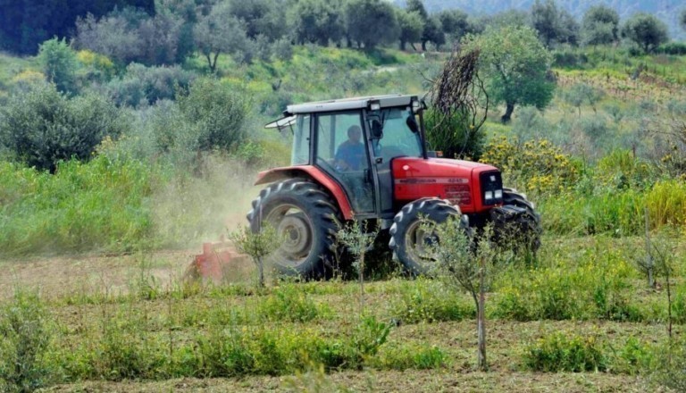 agrotes