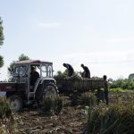 Δεύτερη ευκαιρία σε χιλιάδες αγρότες και συνεταιρισμούς -Τι αλλάζει στη διαχείριση  «κόκκινων» δανείων
