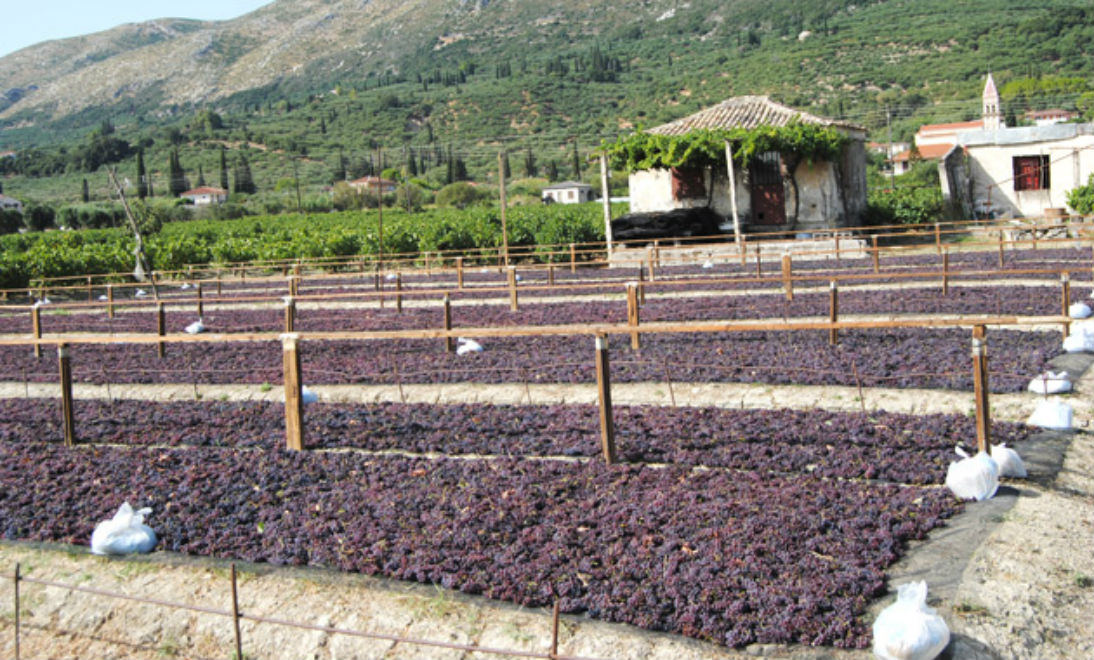 stafida