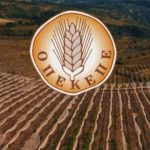 Ενιαία Αίτηση Ενίσχυσης 2025: Παρατείνεται η προθεσμία υποβολής αιτήσεων – Τι πρέπει να γνωρίζουν οι παραγωγοί