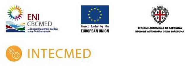 INTECMED_LOGO_F29587