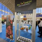 Επιχειρήσεις της Αχαΐας στην Agro Belgrade 2026 – Το Επιμελητήριο Αχαΐας ανοίγει δρόμο στην αγορά της Σερβίας