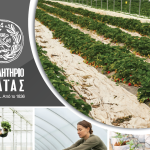 Γίνε κι ΕΣΥ μέλος του Αγροτικού Τμήματος του Επιμελητηρίου Αχαΐας