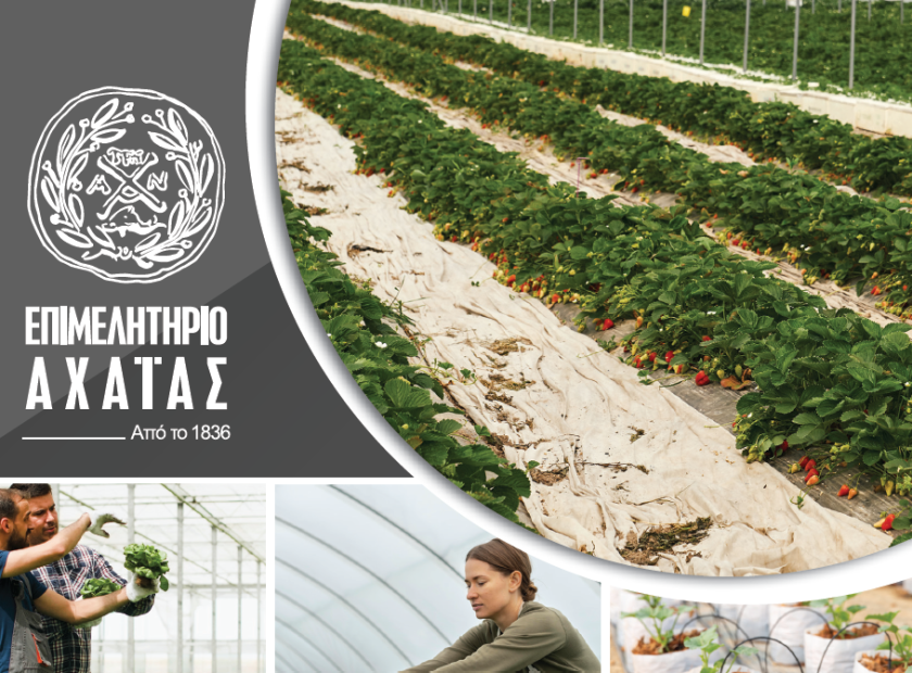 epimelitirio_agrotiko