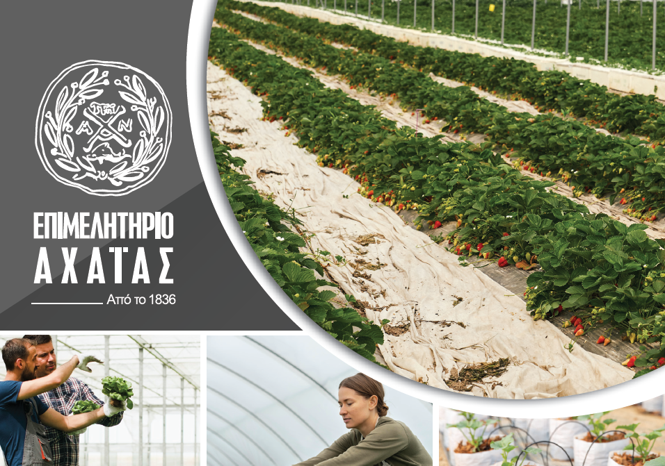 epimelitirio_agrotiko