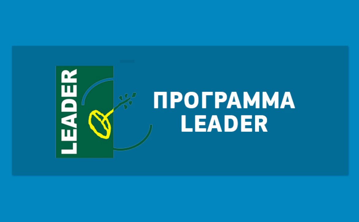 Alfadev-leader-002