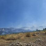 Επιμελητήριο Αχαΐας: Έως τις 14 Αυγούστου οι δηλώσεις ζημιών για τους πληγέντες παραγωγούς της Αιγιάλειας