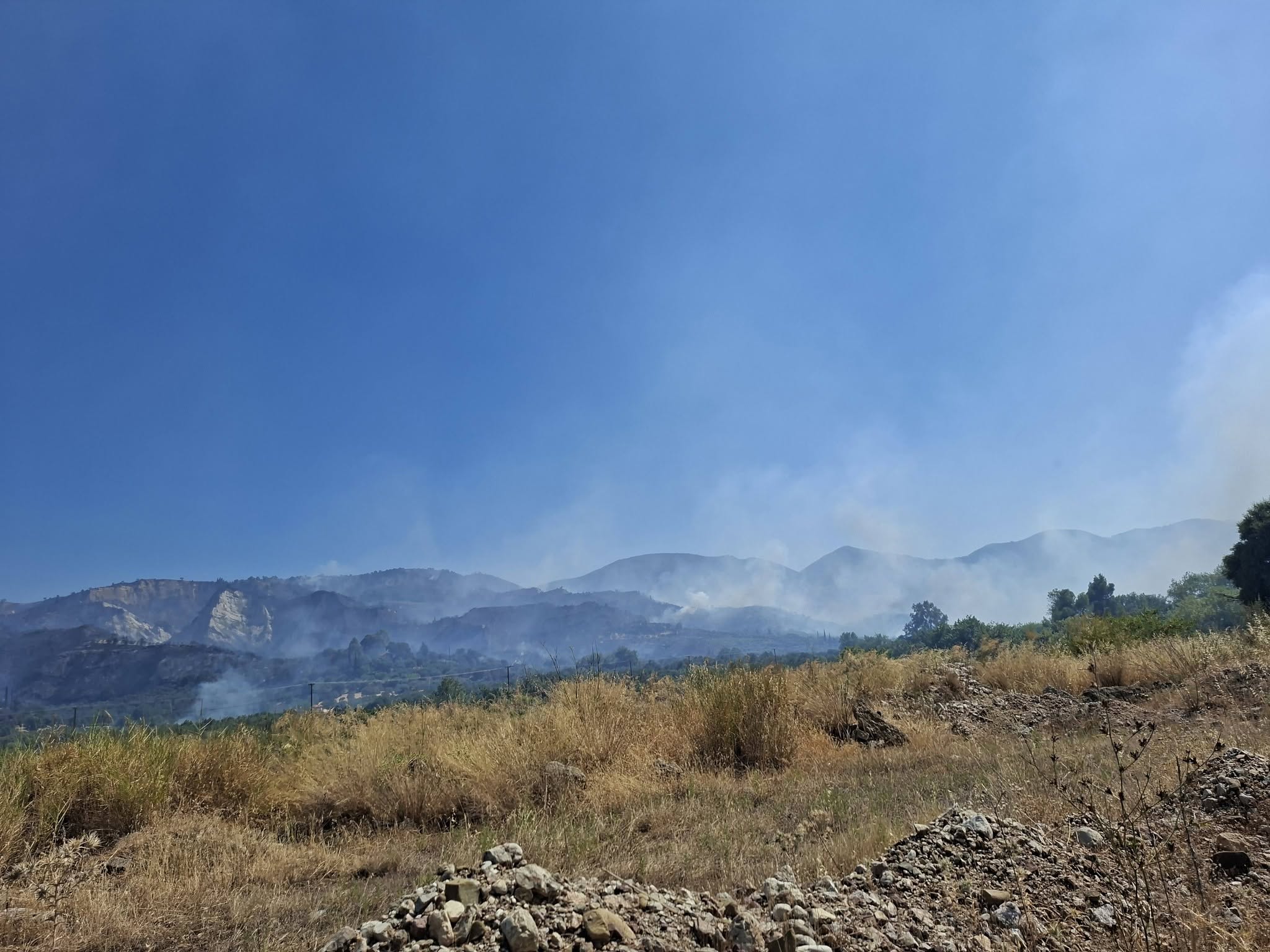 Επιμελητήριο Αχαΐας: Έως τις 14 Αυγούστου οι δηλώσεις ζημιών για τους πληγέντες παραγωγούς της Αιγιάλειας